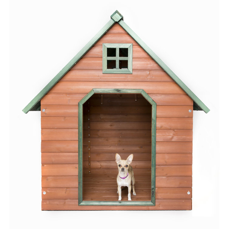 Tucker Murphy Pet™ Pinckard Dog House & Reviews Wayfair
